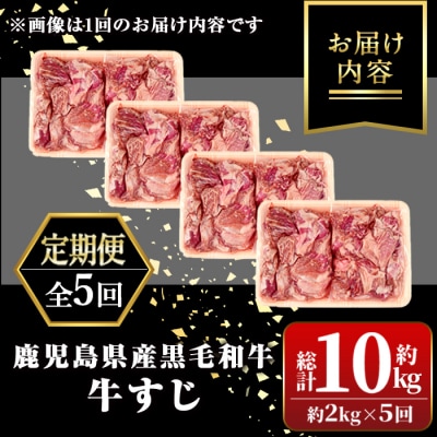 定期便・全5回　黒毛和牛牛すじ定期便(約2kg×5回・計約10kg)　D01002 