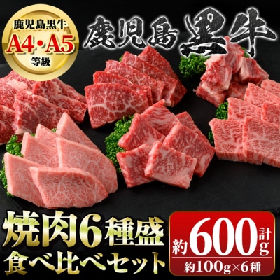 鹿児島黒牛 食べ比べ焼肉6種盛　(計約600g・各100g×6種)　B01033