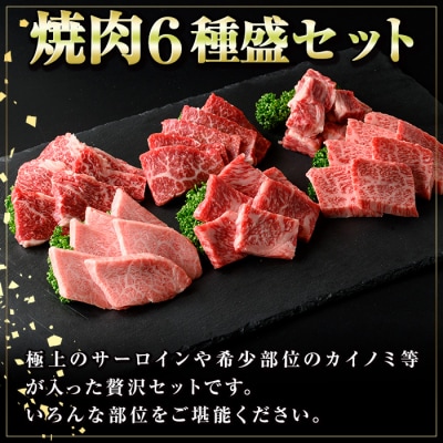 鹿児島黒牛 食べ比べ焼肉6種盛　(計約600g・各100g×6種)　B01033