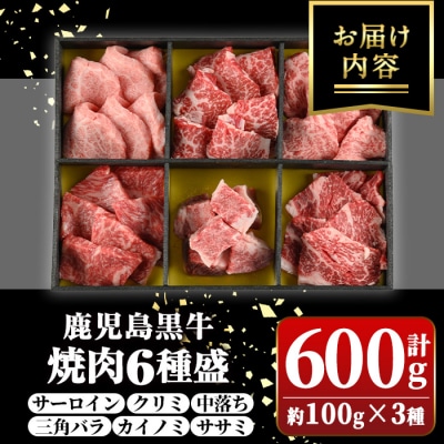 鹿児島黒牛 食べ比べ焼肉6種盛　(計約600g・各100g×6種)　B01033
