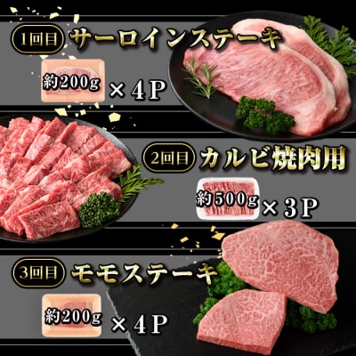 <定期便・全6回>鹿児島黒牛 満足定期便・贅沢満喫セット(全6種・合計5.9kg)　G01003 