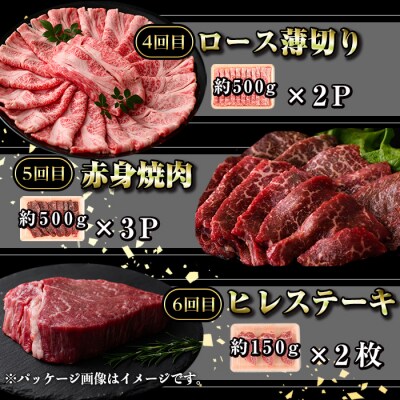 <定期便・全6回>鹿児島黒牛 満足定期便・贅沢満喫セット(全6種・合計5.9kg)　G01003 