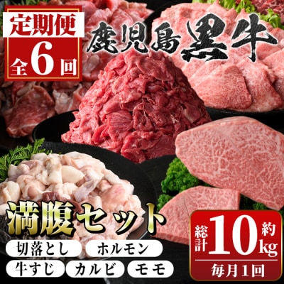 <定期便・全6回>鹿児島黒牛 満足定期便・満腹セット(全5種・合計10kg)　E01009