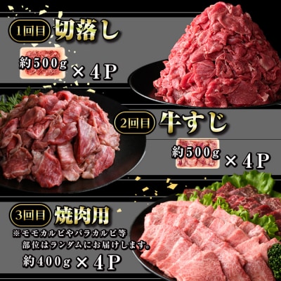 <定期便・全6回>鹿児島黒牛 満足定期便・満腹セット(全5種・合計10kg)　E01009