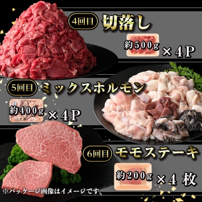 <定期便・全6回>鹿児島黒牛 満足定期便・満腹セット(全5種・合計10kg)　E01009