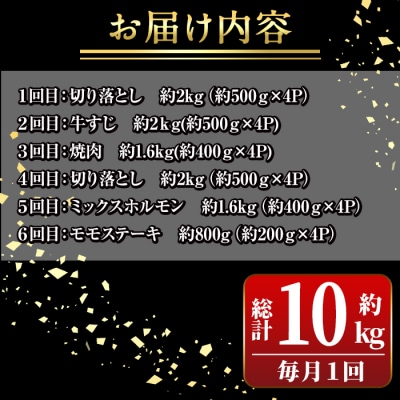 <定期便・全6回>鹿児島黒牛 満足定期便・満腹セット(全5種・合計10kg)　E01009