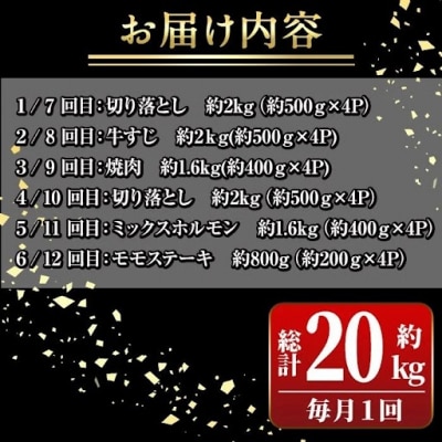 <定期便・全12回(連続)>鹿児島黒牛 満足定期便・満腹セット(全5種合計20kg)　G01006