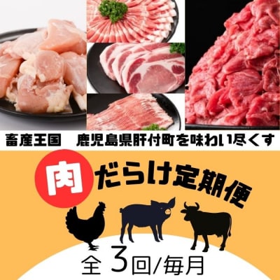肝付町セレクト定期便《肉だらけ定期便A》【毎月・全3回】　E90001