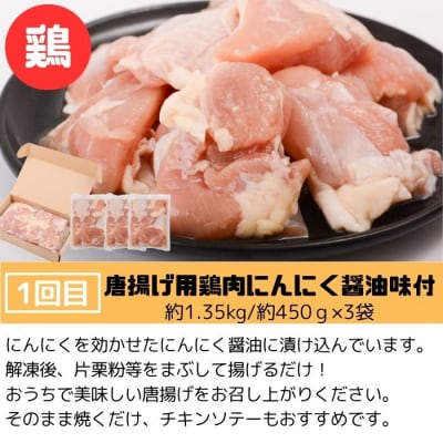 肝付町セレクト定期便《肉だらけ定期便A》【毎月・全3回】　E90001