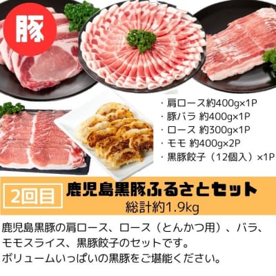 肝付町セレクト定期便《肉だらけ定期便A》【毎月・全3回】　E90001