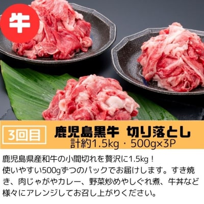 肝付町セレクト定期便《肉だらけ定期便A》【毎月・全3回】　E90001