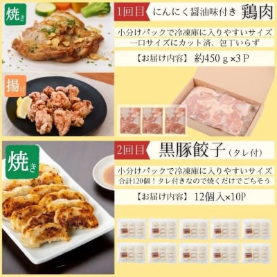 <定期便・全6回>肝付町セレクト定期便《簡単調理で肉を楽しむ定期便B》　F90005