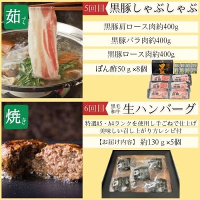 <定期便・全6回>肝付町セレクト定期便《簡単調理で肉を楽しむ定期便B》　F90005