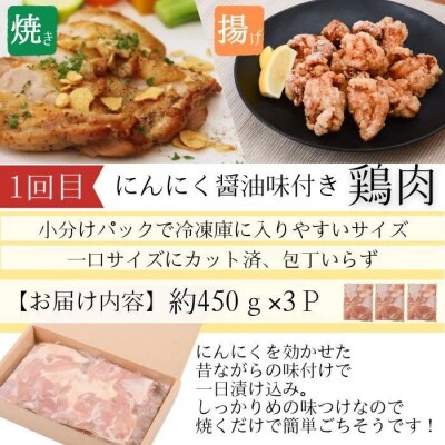 <定期便・全3回>肝付町セレクト定期便《簡単調理で肉を楽しむ定期便》　D90001