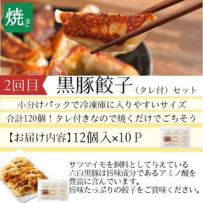 <定期便・全3回>肝付町セレクト定期便《簡単調理で肉を楽しむ定期便》　D90001