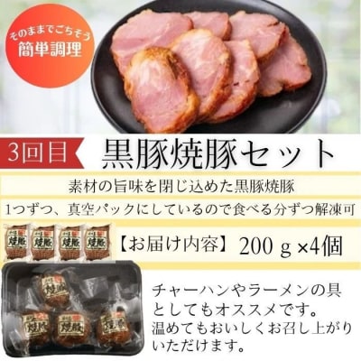 <定期便全3回>肝付町セレクト定期便《簡単調理 火を使わないで美味しいを楽しむ定期便》　B90001