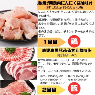 肝付町セレクト定期便《肉だらけ定期便B》【毎月・全5回】　E90002