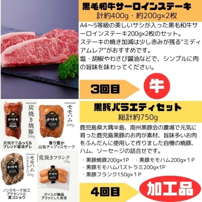 肝付町セレクト定期便《肉だらけ定期便B》【毎月・全5回】　E90002