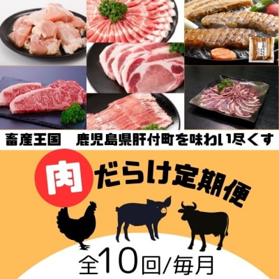 肝付町セレクト定期便《肉だらけ定期便C》【毎月・全10回】　F90001