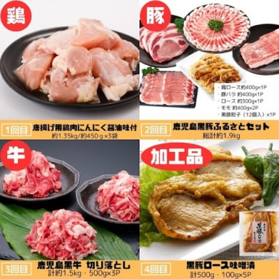 肝付町セレクト定期便《肉だらけ定期便C》【毎月・全10回】　F90001