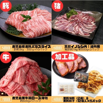 肝付町セレクト定期便《肉だらけ定期便C》【毎月・全10回】　F90001