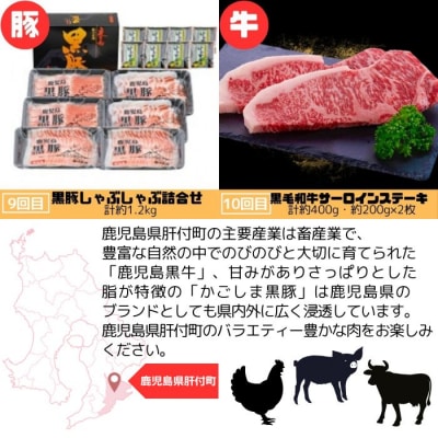 肝付町セレクト定期便《肉だらけ定期便C》【毎月・全10回】　F90001