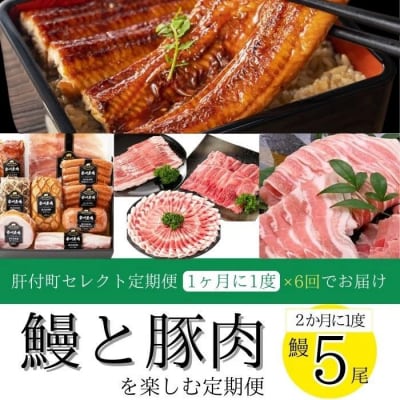 定期便・全6回　肝付町セレクト定期便《 鰻5尾と豚肉を楽しむ定期便》　 F90004 