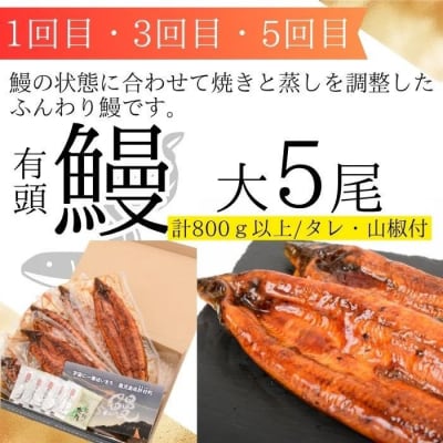 定期便・全6回　肝付町セレクト定期便《 鰻5尾と豚肉を楽しむ定期便》　 F90004 