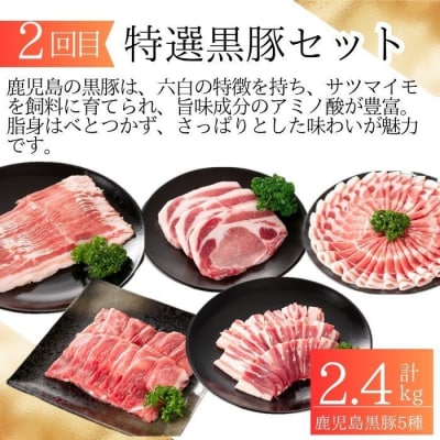 定期便・全6回　肝付町セレクト定期便《 鰻5尾と豚肉を楽しむ定期便》　 F90004 