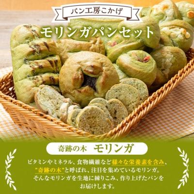 大隅産モリンガパンセット 80サイズ詰め合せ　A65001