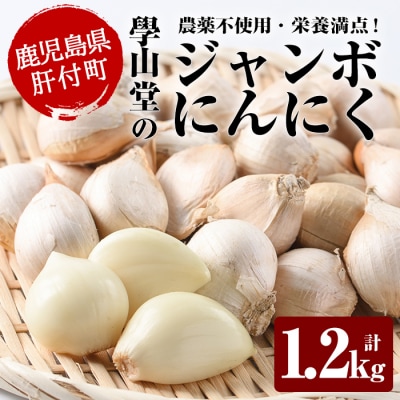 學山堂のジャンボにんにく(計1.2kg)鹿児島 国産　A69003