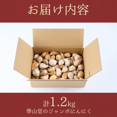學山堂のジャンボにんにく(計1.2kg)鹿児島 国産　A69003