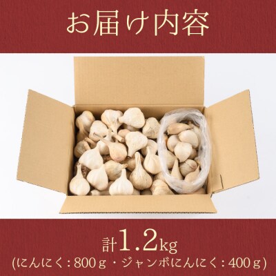 〈先行受付〉學山堂のにんにくミックスセット(計1.2kg)鹿児島 国産 　A69004