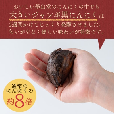  <先行受付中!>學山堂のジャンボ黒にんにく(計450g・150g×3袋)鹿児島産　A69006 