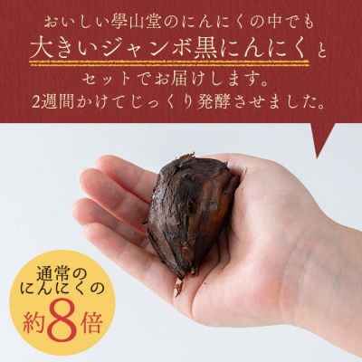 <先行受付中!>學山堂の黒にんにくミックス(計900g)　B69001