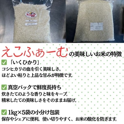 いくひかり 真空パック詰め (1kg×5袋)　鹿児島 新米 小分け 真空 米　A55021