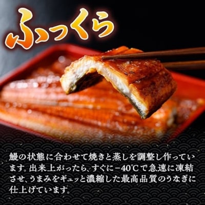 <定期便・計3回(連続)>うなぎ蒲焼・大(有頭)(3尾計480g以上✕3回タレ山椒付)　E57004