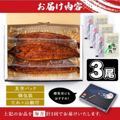 <定期便・計3回(連続)>うなぎ蒲焼・大(有頭)(3尾計480g以上✕3回タレ山椒付)　E57004