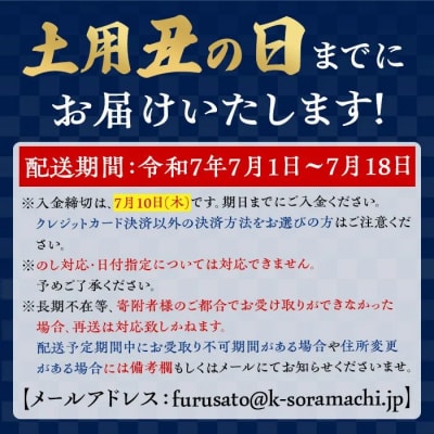 <先行受付 土用の丑の日>うなぎ蒲焼・大(有頭)(3尾・計555g以上)　B57003