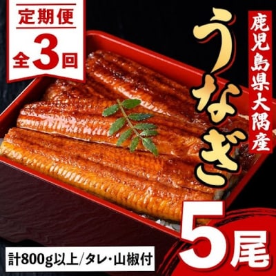 <定期便・計3回(連続)>うなぎ蒲焼・大(有頭)(5尾計800g以上✕3回タレ山椒付)　E57005