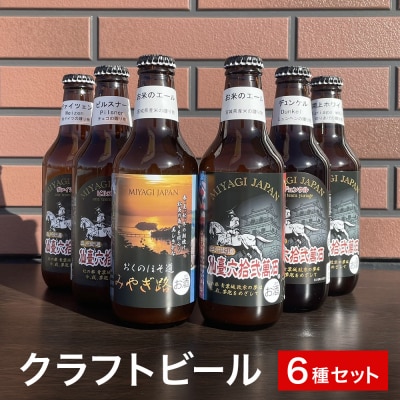 クラフトビール 5種6本セット