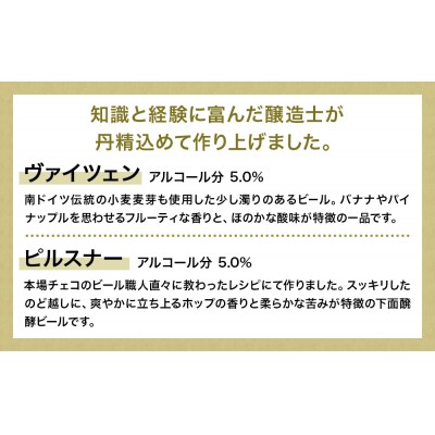 クラフトビール 5種6本セット