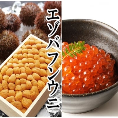 エゾバフンウニバラ詰め1折、いくら1P[11月下旬発送] E-40022