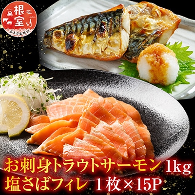 お刺身トラウトサーモン1kg、塩さばフィレ1枚×15P B-09054