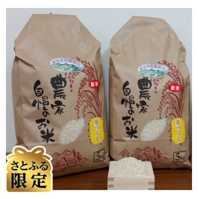 【さとふる限定】【令和7年産】福岡県添田町産お米夢つくし計10kg