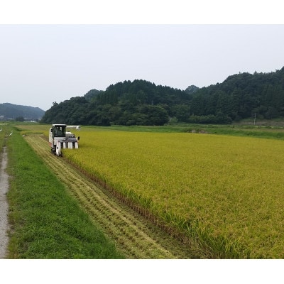 【さとふる限定】【令和7年産】福岡県添田町産お米夢つくし計10kg