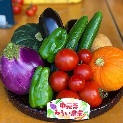 中元寺旬の実り野菜セット (旬の野菜7～9種類程度)