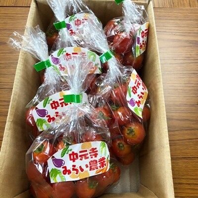 福岡県添田町　中元寺のミニトマト　1.8kg