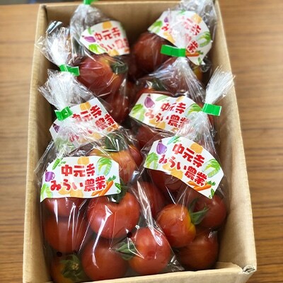 福岡県添田町　中元寺のフルーツトマト　1.8kg
