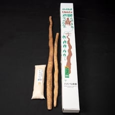 【添田特産】自然薯800g(1～2本)と夢つくし(精米)5合セット